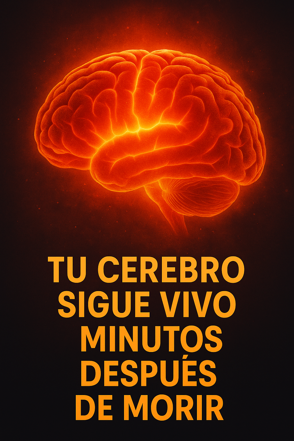 🧠✨ Tu cerebro sigue vivo… minutos después de morir 🤯 | Capi Sabio te lo explica con ciencia real ⚡